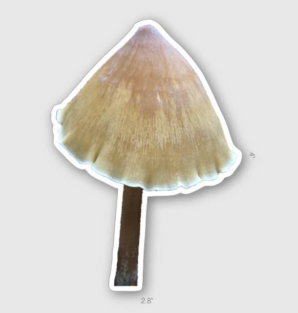 Stick Outside - Wholesale Sticker - California Redwood Rooter Mushroom Sticker1