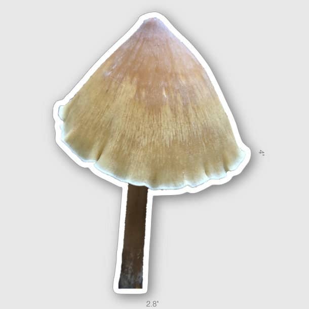 Stick Outside - Wholesale Sticker - California Redwood Rooter Mushroom Sticker1