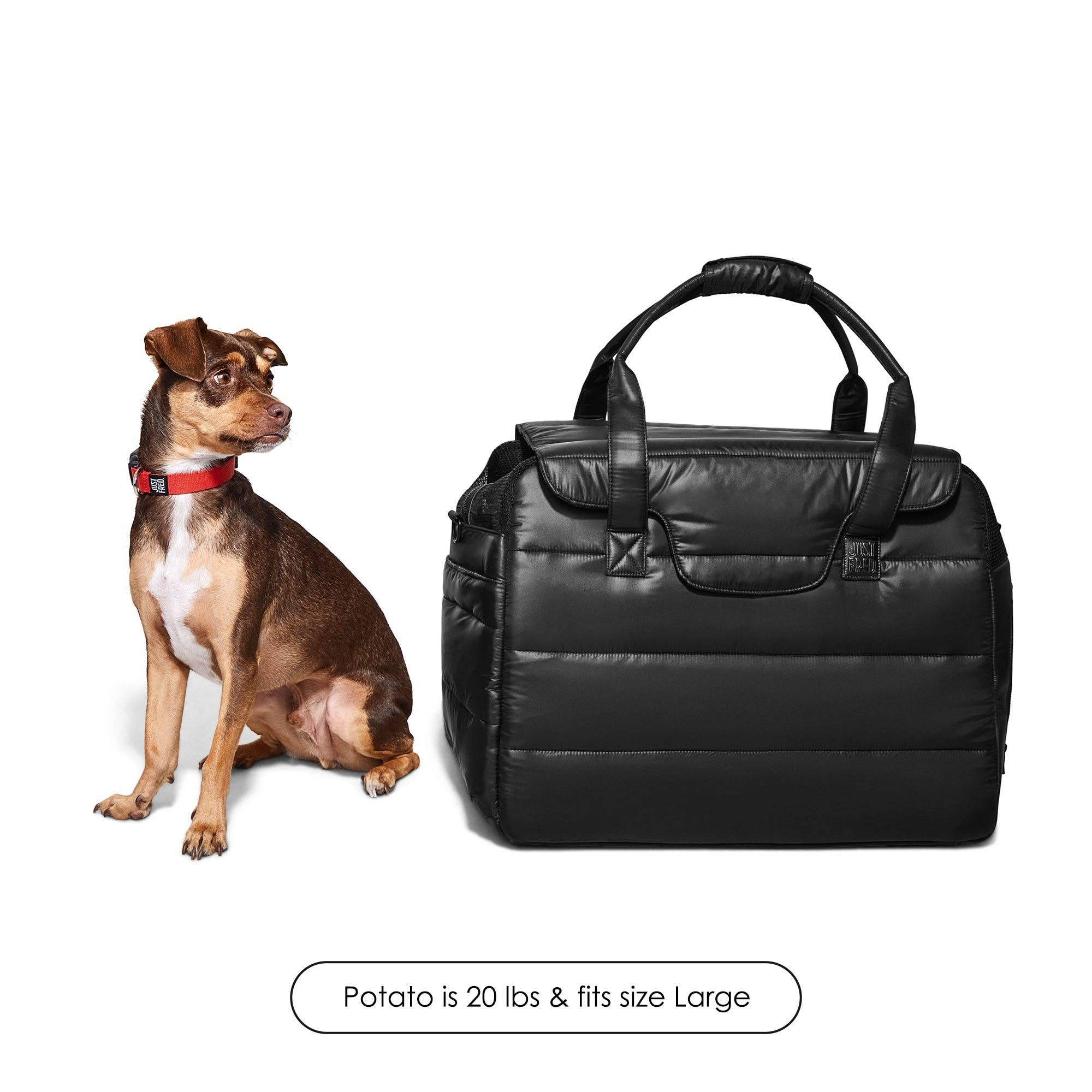 JUST FRED - Wholesale Pet Carrier - Dog - Destination Dog Tote - Ltd Edition.18