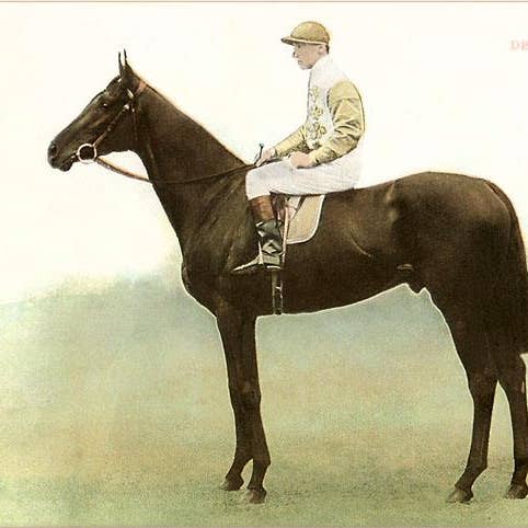 Art Print EQ-07 Rock Sand, Derby Winner, 1903 for wholesale by Found Image Press