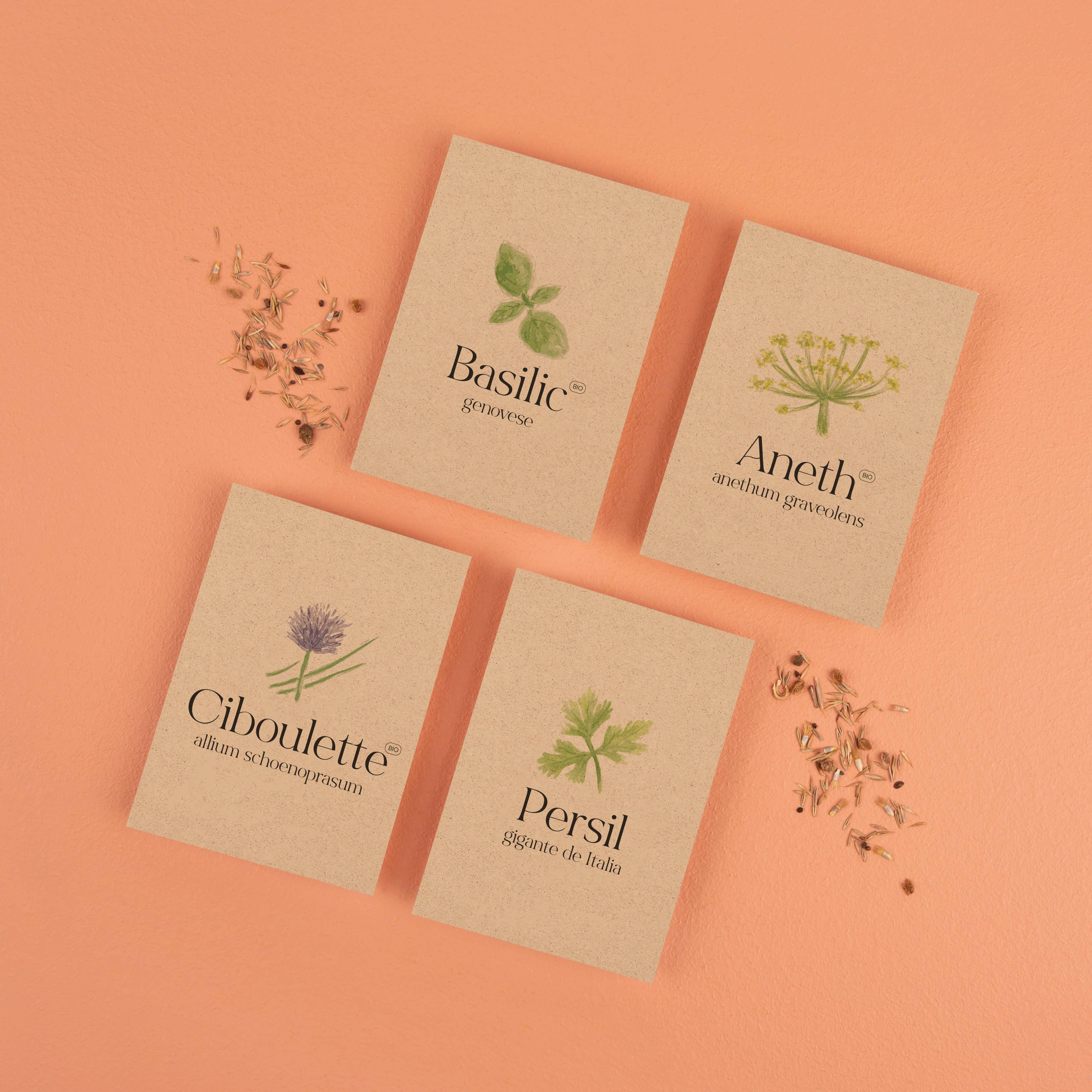 La Fabrique à Sachets – Großhandel Pflanzensamen – Botanica - Tütchen mit Basilikumsamen1