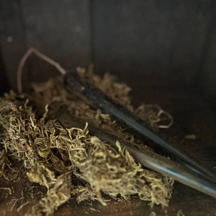 The Cranberry Cornstalk Co. - Wholesale Tapered Candle/Candlestick - Primitive Grubby Taper hanging candle stick