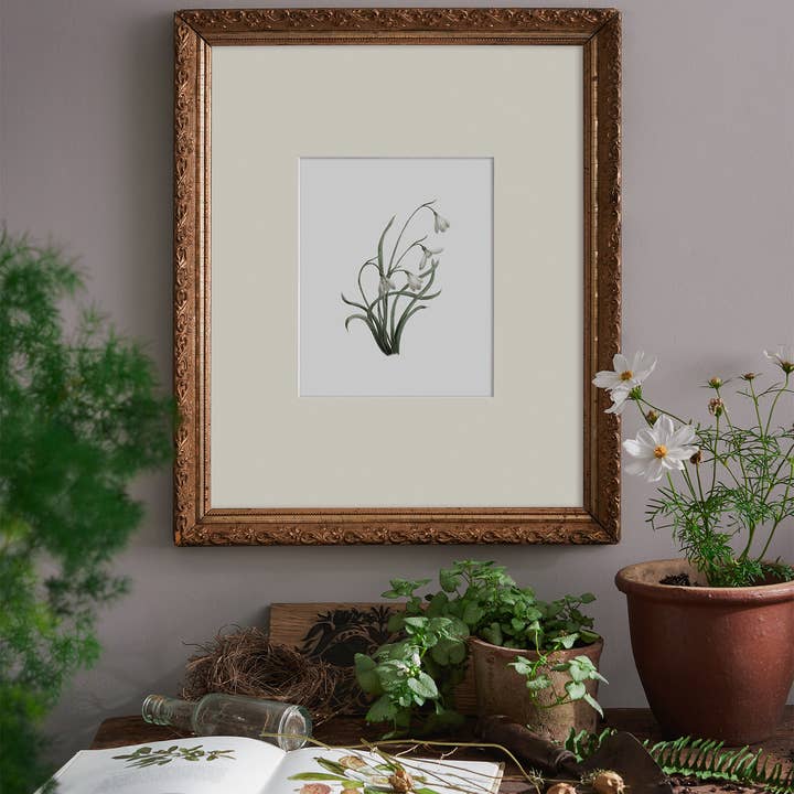 Kara Valentino Ffield Art - Wholesale Art Print - Snowdrops | Watercolor Art Print 2