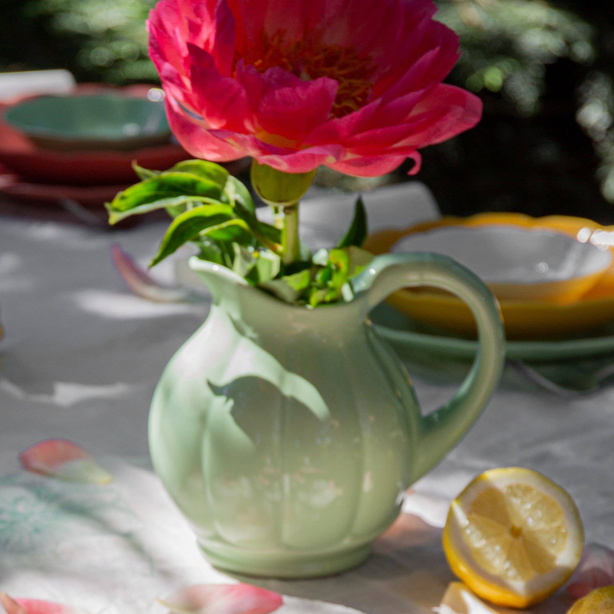 OGRE La Fabrique - Wholesale Dinner Plate - Green Melon Pitcher (15cm)5