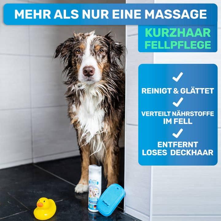 BluePet - Wholesale Pet Brush - Cat/Dog - 'FellFein' rubber curry comb for dogs5