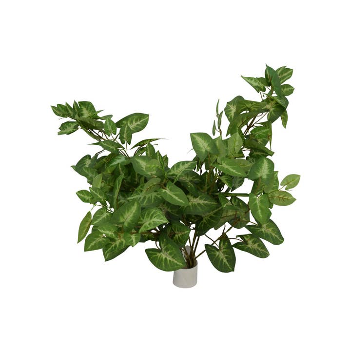 Buisson suspendu de Pothos pour la vente par Tremont Floral Supplies