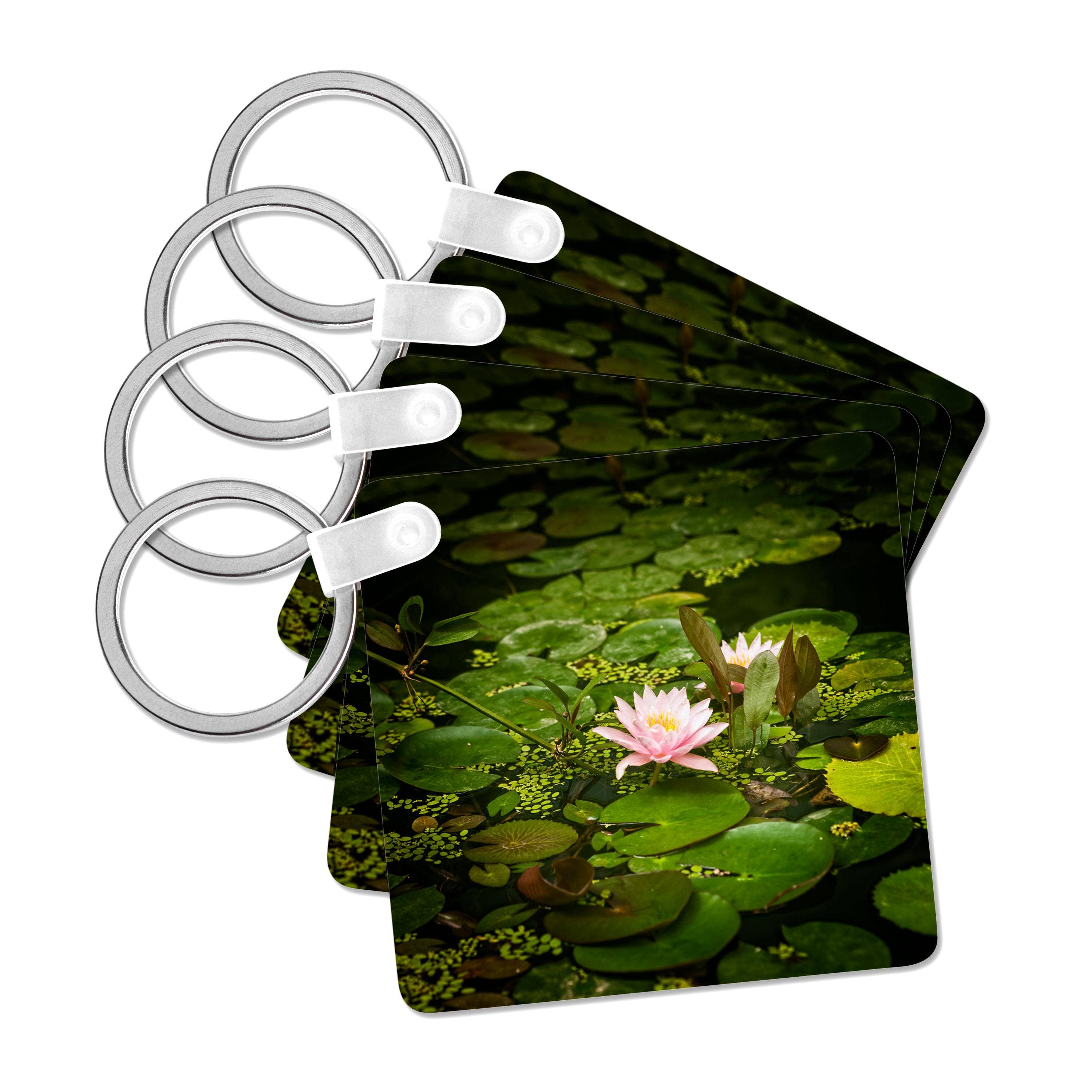 3dRose - Wholesale Keychain - Unisex - 3dRose, Beautiful pink water lily flower in an artificial pond, Key Chain0
