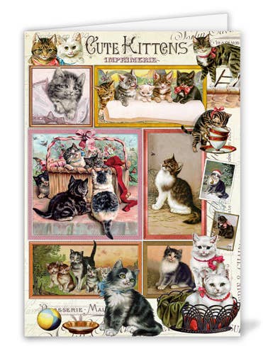 cute kittens GB379 for wholesale by Actetre Deutschland Gmbh