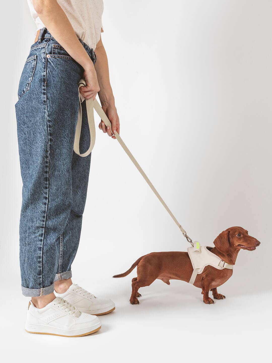 Qisu – Großhandel Leine – Hund – Leine mit fester Länge | Hug Leash9