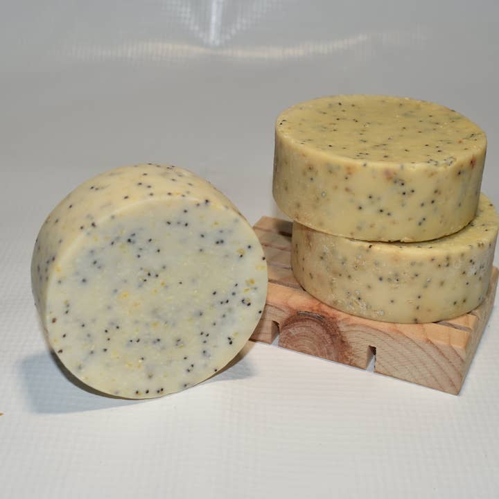 Orange Tree Scrub for wholesale by Ash + Ivy