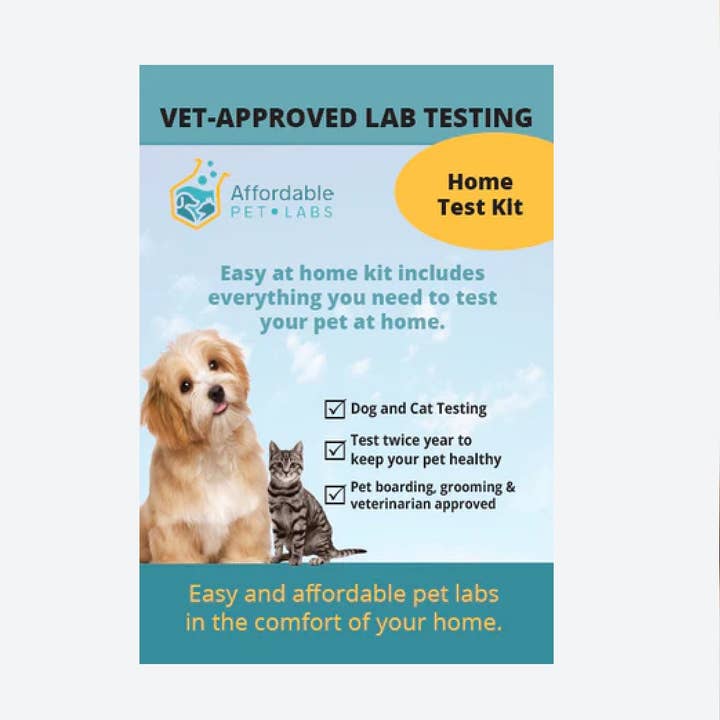 Easy Home Kit: Affordable Pet Labs Fecal Culture Diagnostic Test For Cats for wholesale by Affordable Pet Labs