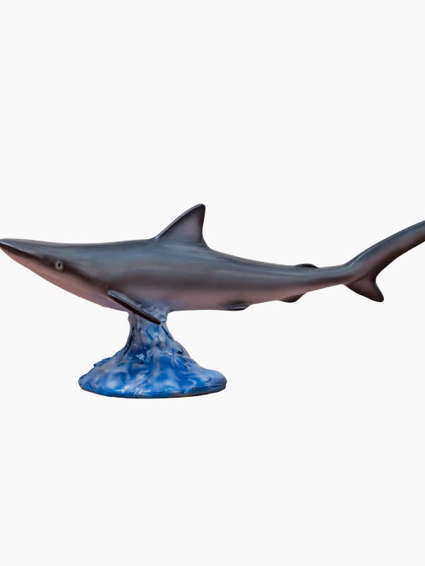 Trophée de requin de bureau 17'' (0,43 m) pour la vente par Bluewave Fish Mounts