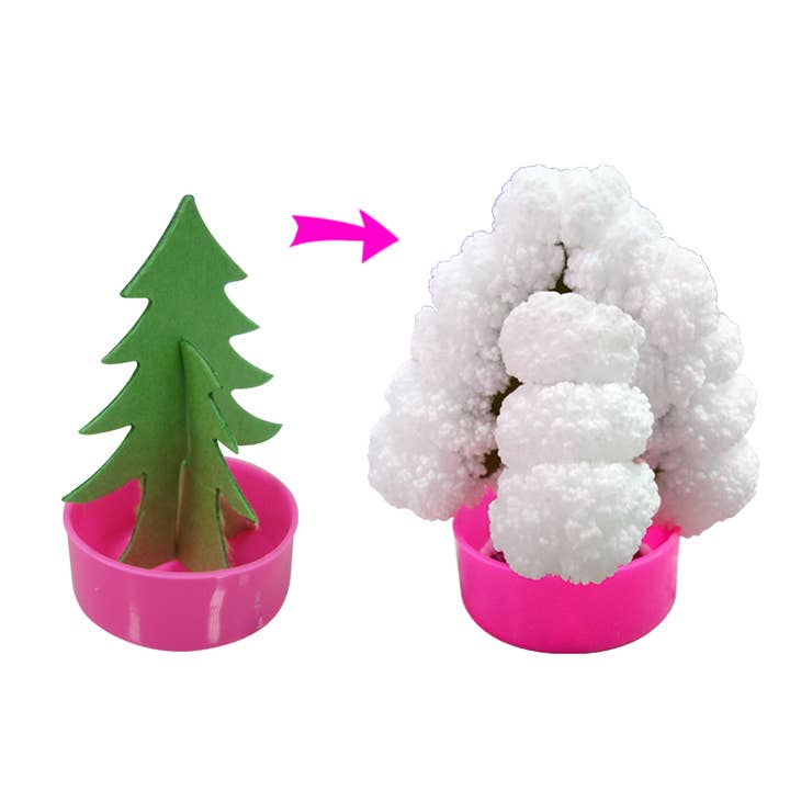 Science and Nature – Großhandel Verkaufsdisplay – Kind & Baby – Magische Blume (Display von 48)2