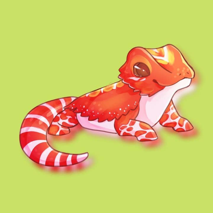 Skäggig drakröd morf för wholesale av Mega Kawaii Cuties