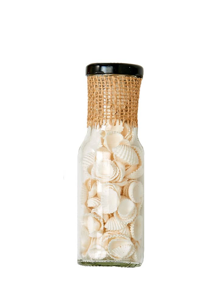 Snail Shells In 6" Glass Bottle for wholesale by WORTH IMPORTS