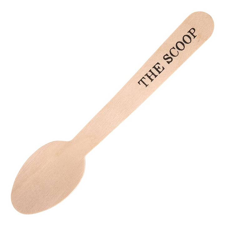 Santa Barbara Design Studio by Creative Brands - Wholesale Kitchen Spoon - Birch Spoon - The Scoop - Set of 20