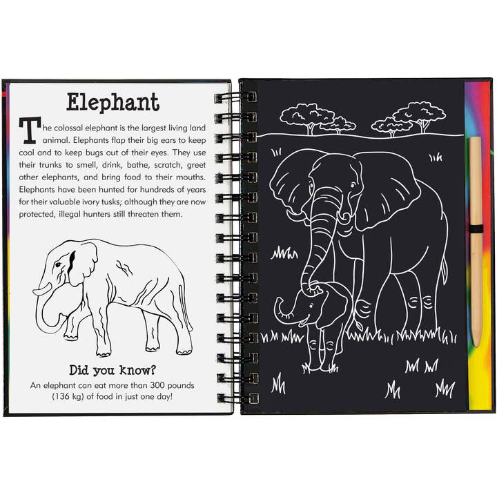Peter Pauper Press - Wholesale Sketchbook/Sketchpad - Scratch & Sketch Wild Safari