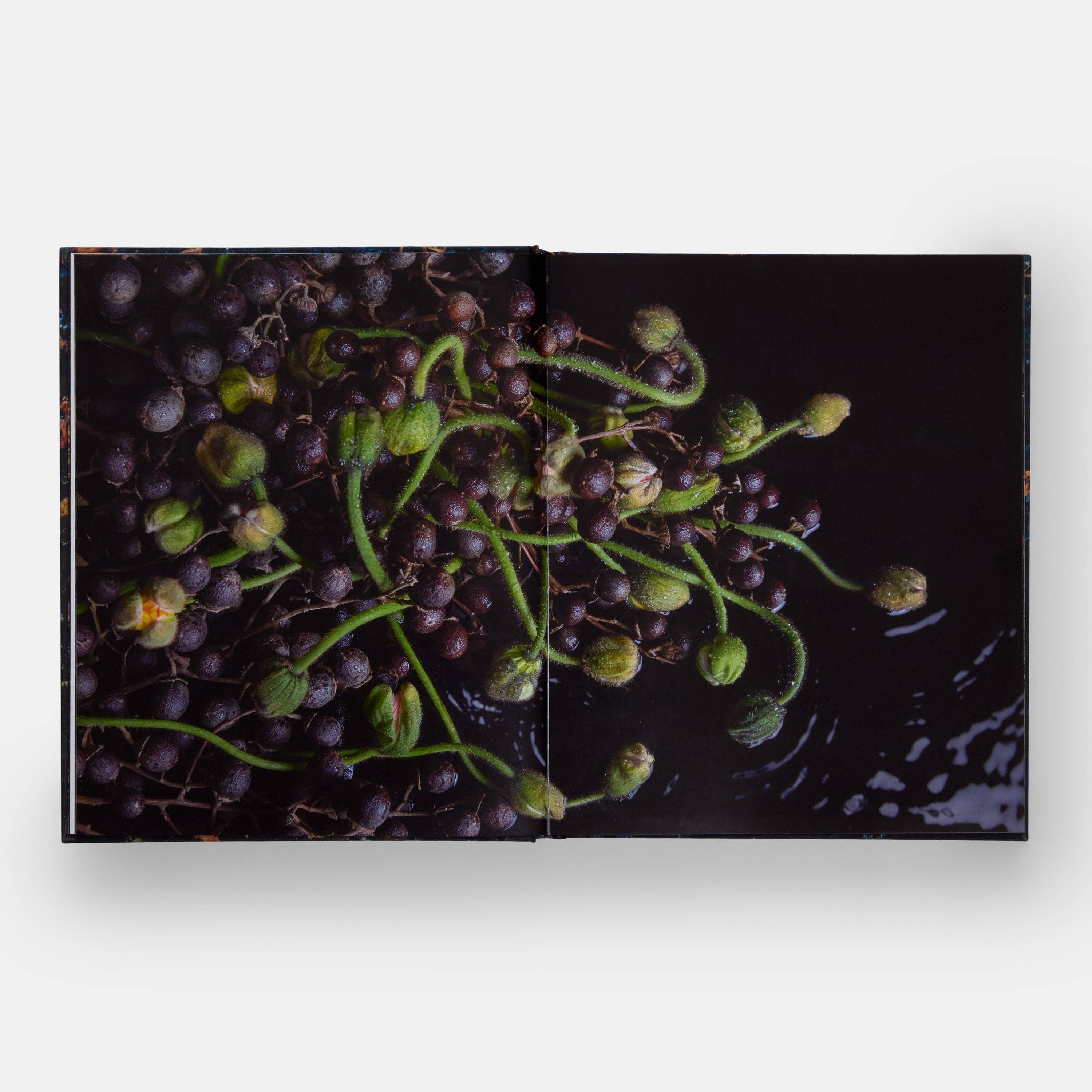 Phaidon Press – wholesale Book – Adult – Emily Thompson Flowers2