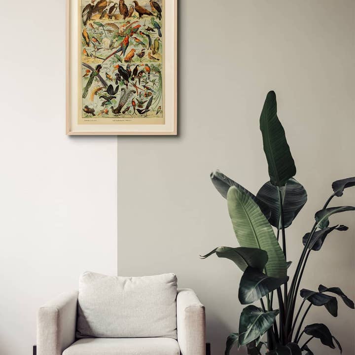 Esque – Engroshandel Plakat – Vintage fugleplakat - Millot1