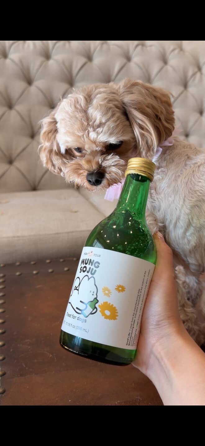 HIGH FOUR – Großhandel Leckerlis – Hund – Soju für Hunde! - Hundefreundlicher, alkoholfreier Hunde-Soju3