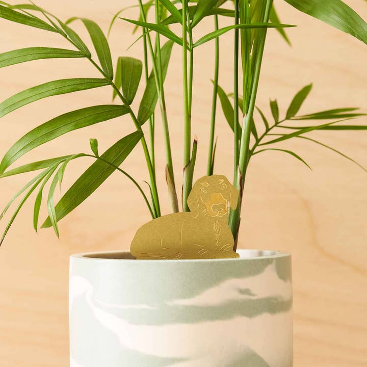 Another Studio - Wholesale Ornament - Daschund, Plant Animal Pet, pot decoration for dog lovers