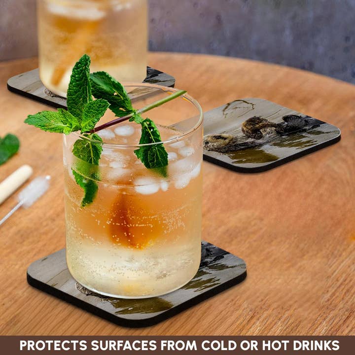 3dRose - Wholesale Coasters - 3dRose, California, Morro Bay. Sea otter mother and pup in water., Coaster9