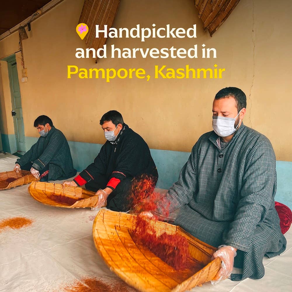 Diaspora Spice Co. - Wholesale Dried Spice - Kashmiri Saffron (Grade A Threads) - Single-Origin Spice1