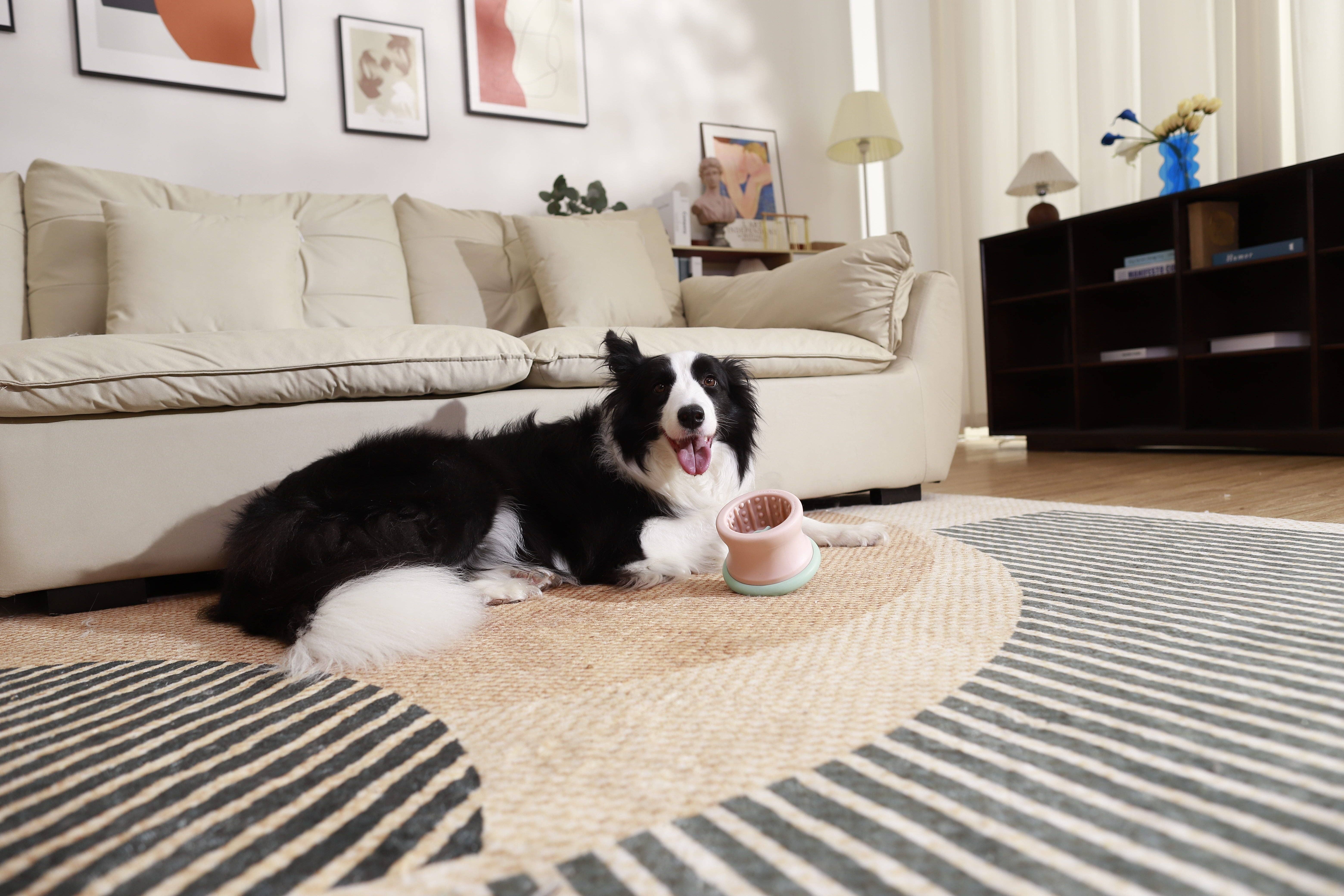 Pet Future llc - Wholesale Pet Bowl - Cat/Dog - Puzzle Tumbler (L/XL), detachable dog enrichment toy7