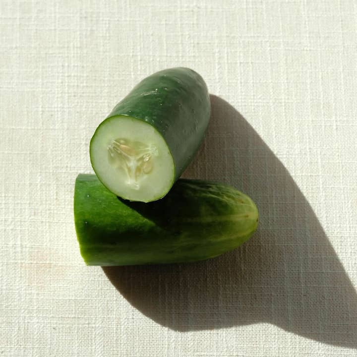 WithCo Cocktails - Wholesale Cocktail Mix/Syrup - Hey Girl Mix (Cucumber, Mint, Lime)5