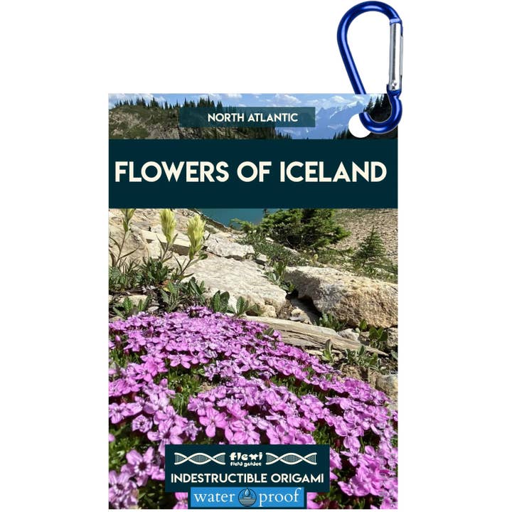 Bloemen van IJsland-Onverwoestbare Origami voor wholesale door Flexi Field Guides