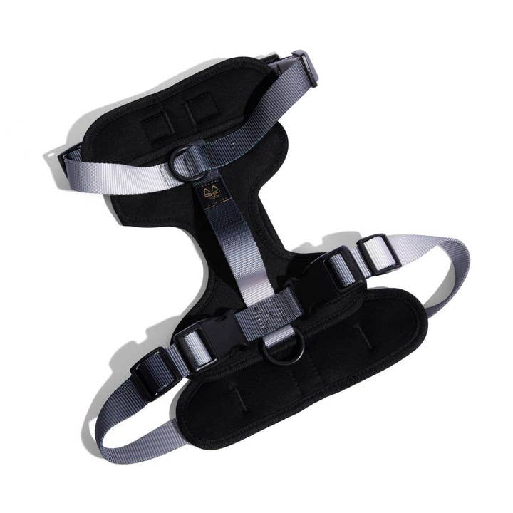 Rowan Dog Harness | No Pull Dog Harness | Black Dog Harness for wholesale by Pink Papyrus | Premium, Durable, & Stylish Dog Products
