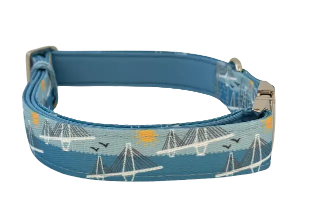 Covey Collection - Wholesale Pet Collar - Dog - Ravenel Bridge Dog Collar3