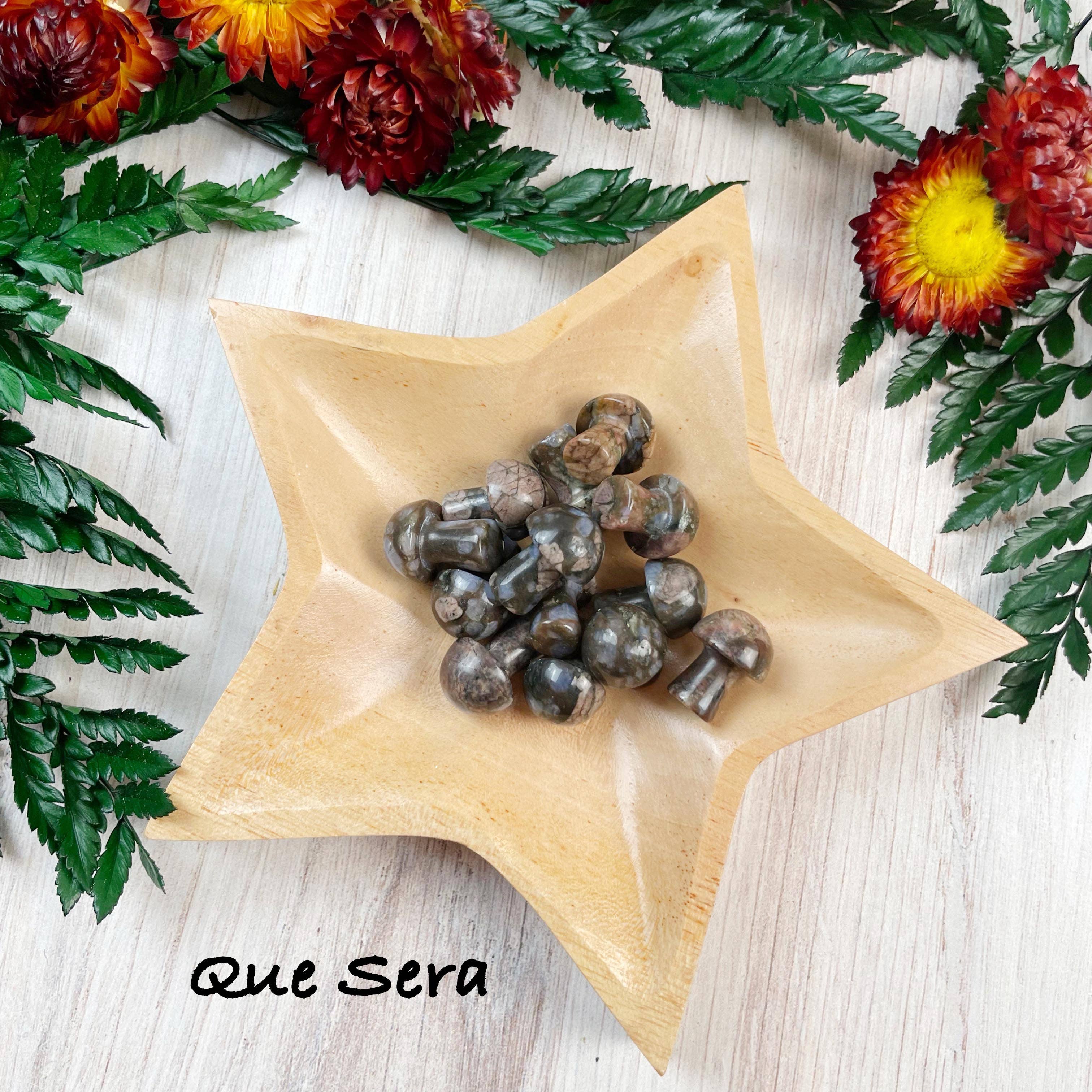 Ewelina Pas Jewelry - Wholesale Spiritual Stone/Crystal - MINI Gemstone Mushroom Pocket Stone16