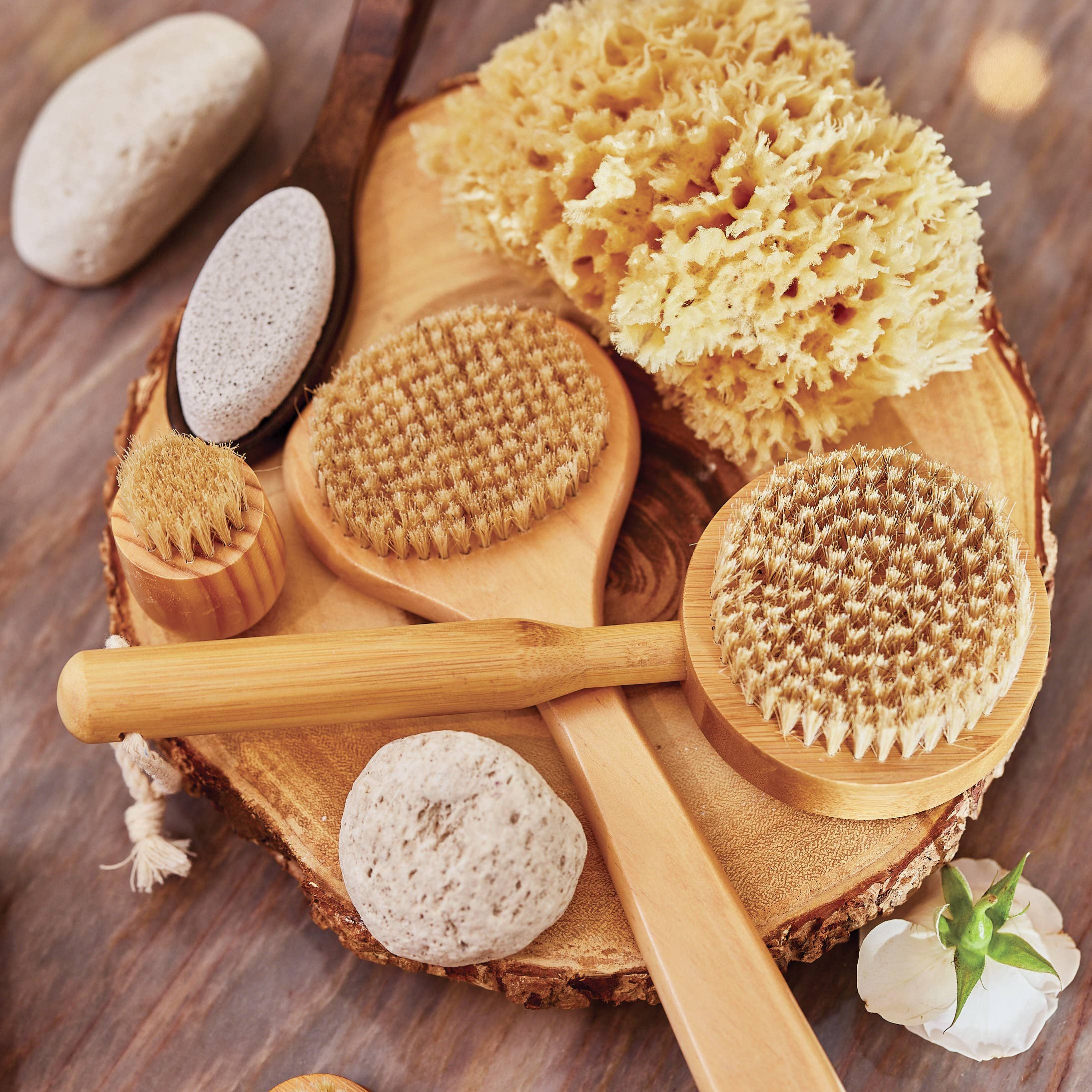 Baudelaire – wholesale Bath pouf/sponge – Bath Sea Sponge Gift Box - Small 4.5"2