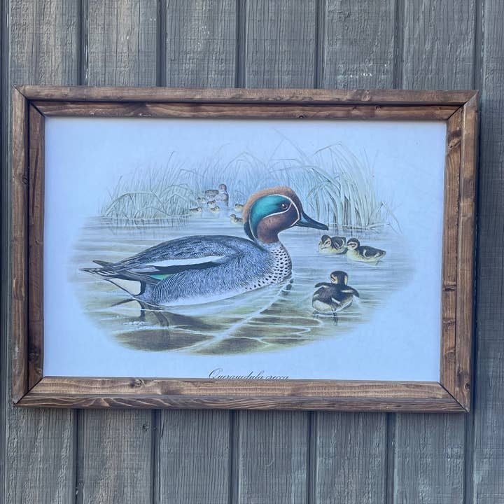 LAND OF COTTON – wholesale Art print – Teal Framed Duck Print