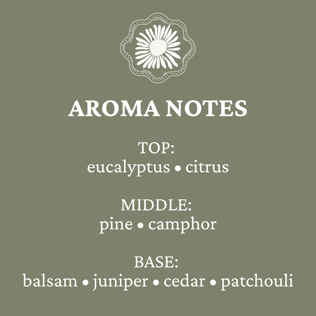 Jean's Apothecare - Wholesale Jar/Filled Candle - Mountain Mama Soy Candle | Non-Toxic Home Winter Fragrance 1