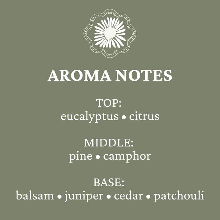 Jean's Apothecare - Venta al por mayor Velas en tarros - Vela de Soja Mountain Mama | Fragancia de Invierno para el Hogar No Tóxica1