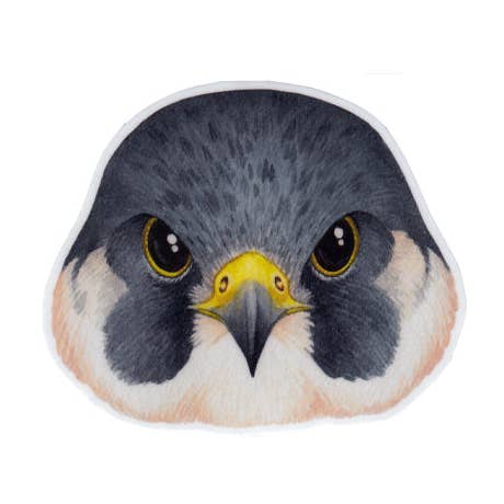 Peregrine Falcon Face Vinyl Bird Sticker for wholesale by Kate Dolamore Art
