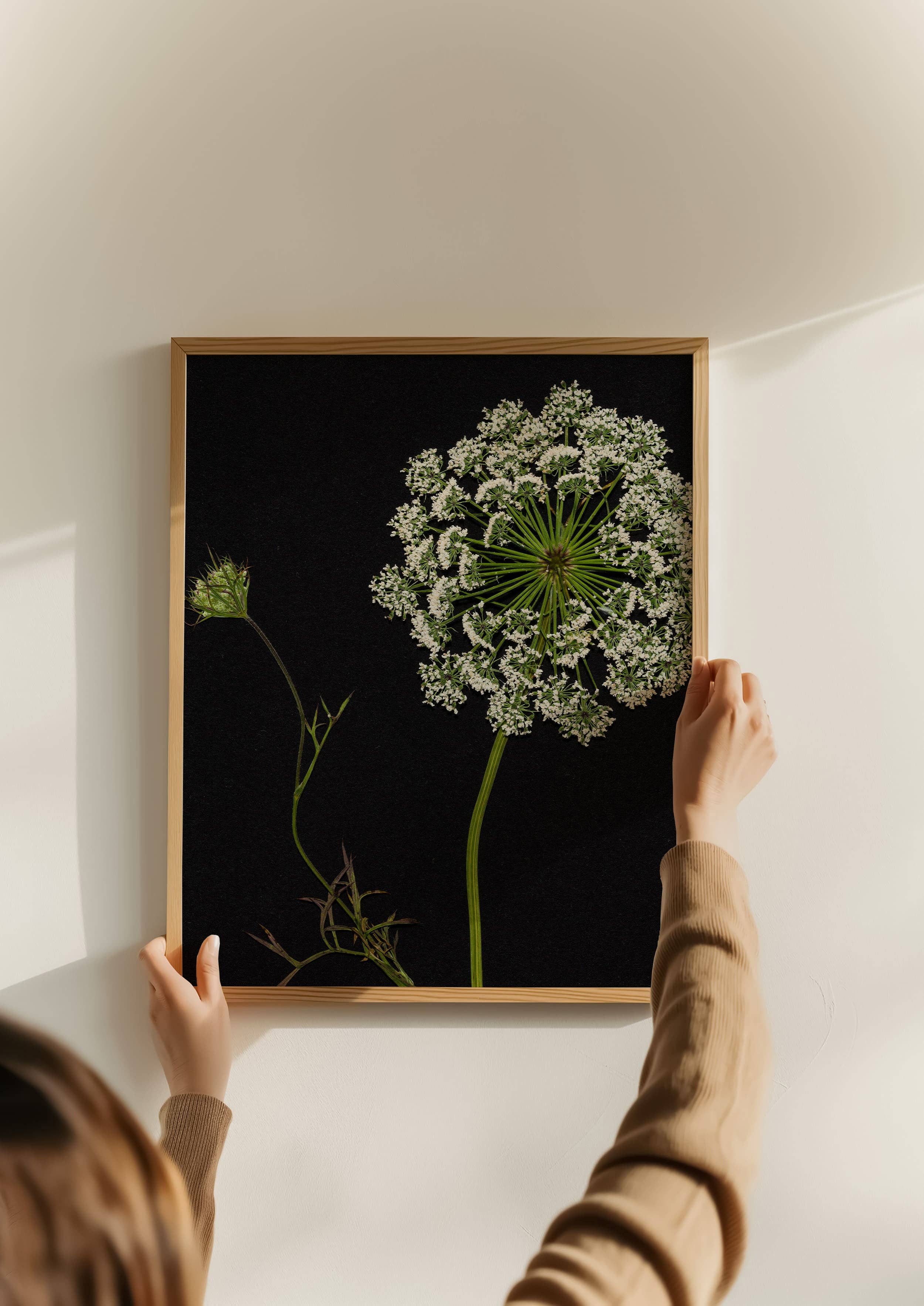 Hope Steinle Pressed Flower Art - Wholesale Art Print - Lace & Light1