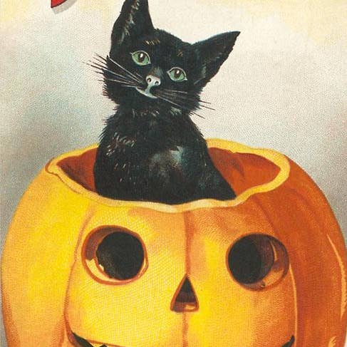 Impression d'art HW-05 Un joyeux Halloween, chat dans une citrouille-lanterne pour la vente par Found Image Press