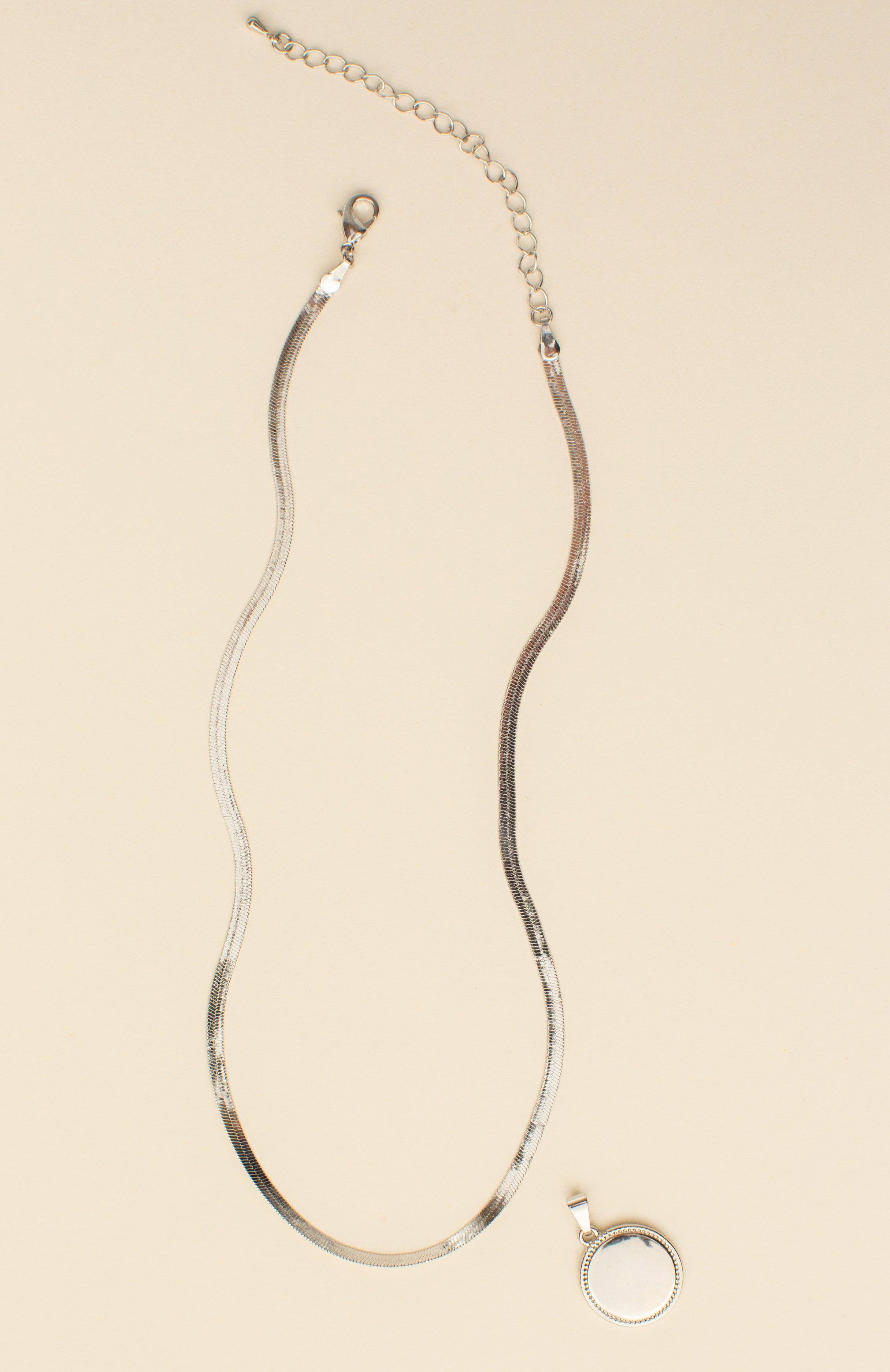 Jill Michael Jewelry - Wholesale Pendant/Charm Necklace - Banks Statement Coin Herringbone Necklace1