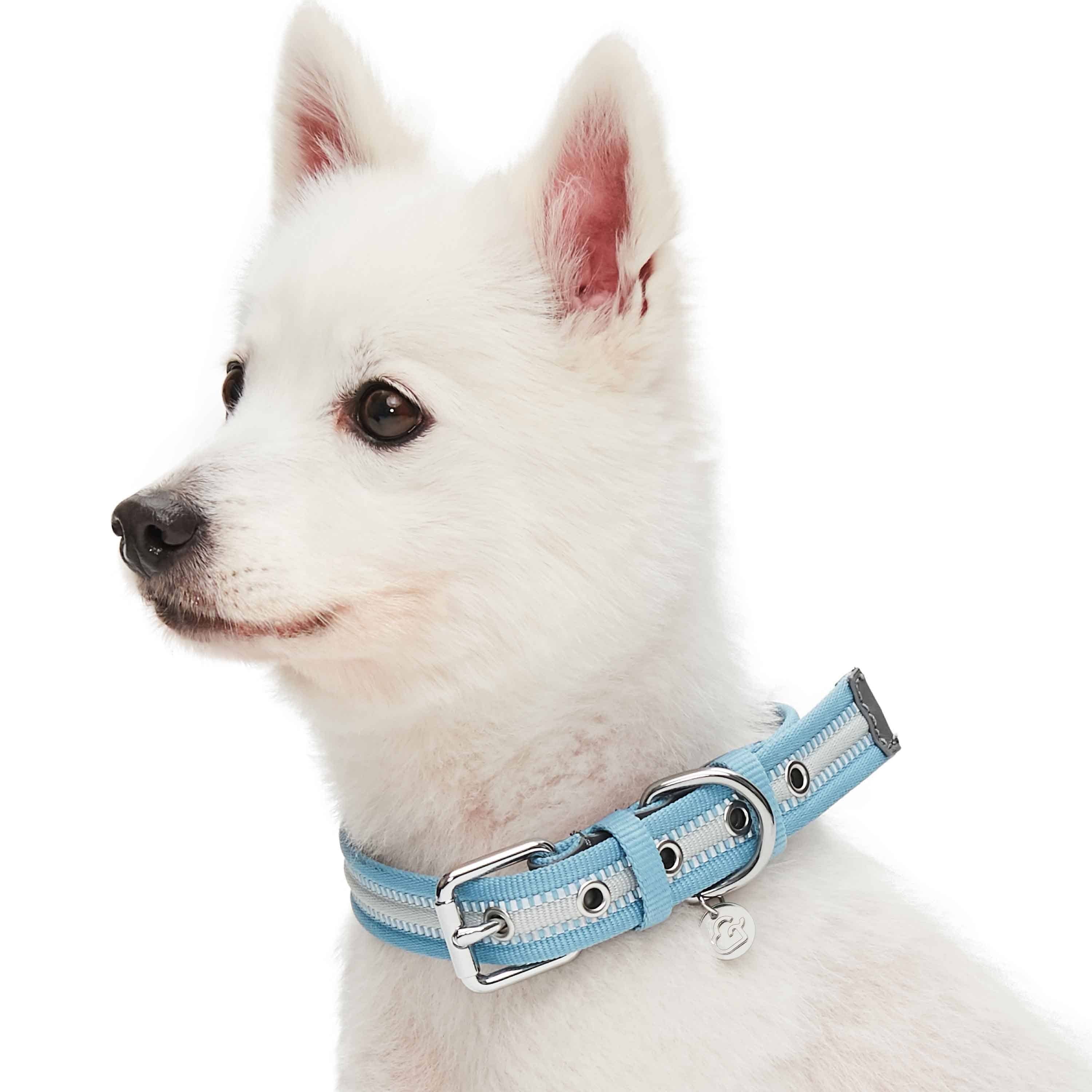 Blueberry Pet – wholesale Halsband - Hund – 3M Reflekterande Randig Hundhalsband – Hållbart & Stilfullt29