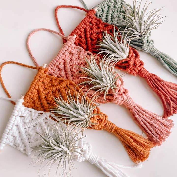 Macrame Air Plant Hanger, Macrame plant holder wall hanging for wholesale by Weavey Studio