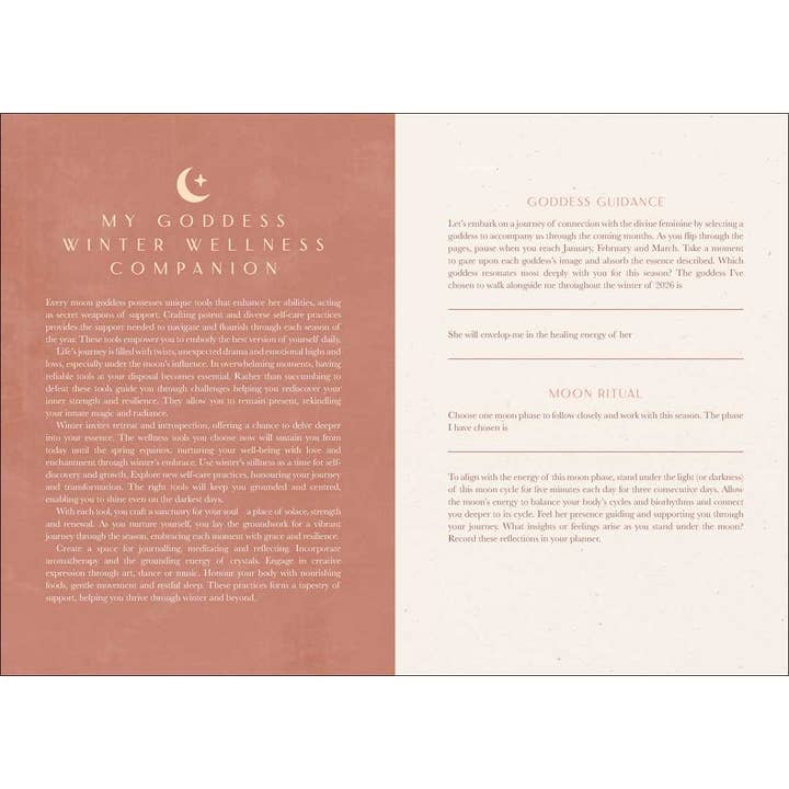 Simon & Schuster - Wholesale Calendar - 2026 Moon Goddess Planner Calendar: Northern Hemisphere by Nicci Garaicoa2
