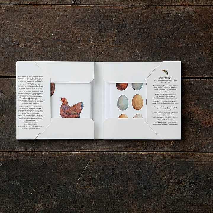 Koustrupco - Vente Carte de vœux classique - Cartes carrées POULETS- 8 cartes de qualité fabriquées en Europe2