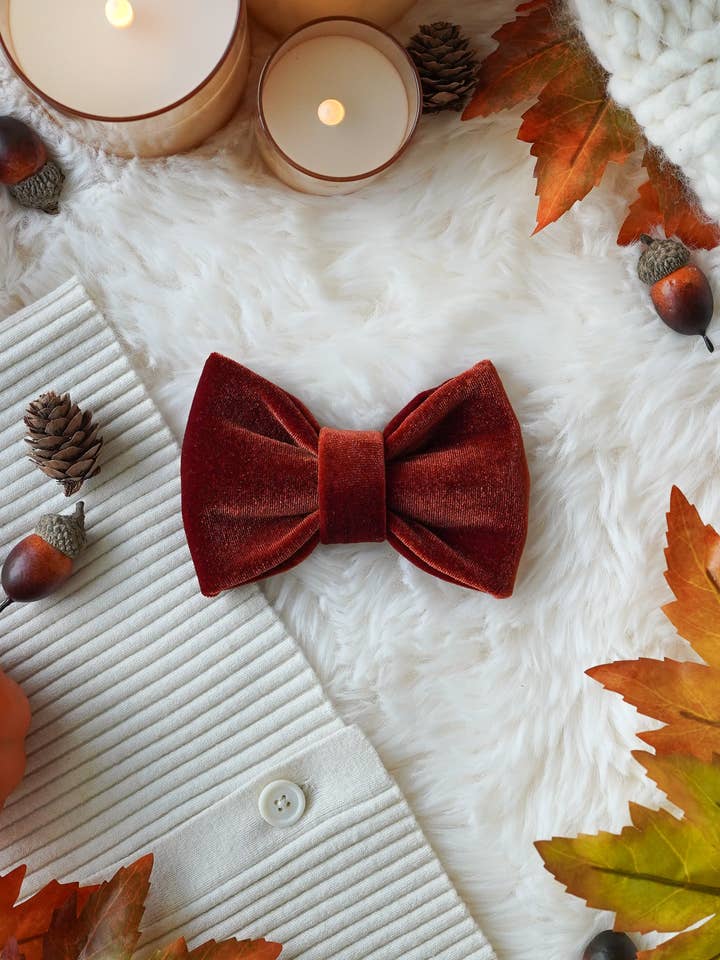 Dog Bow Tie | Pumpkin Spice Velvet | Holiday Dog Bow for wholesale by Duke's Dog Co.