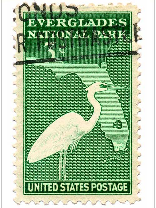 Everglades pour la vente par Finalina