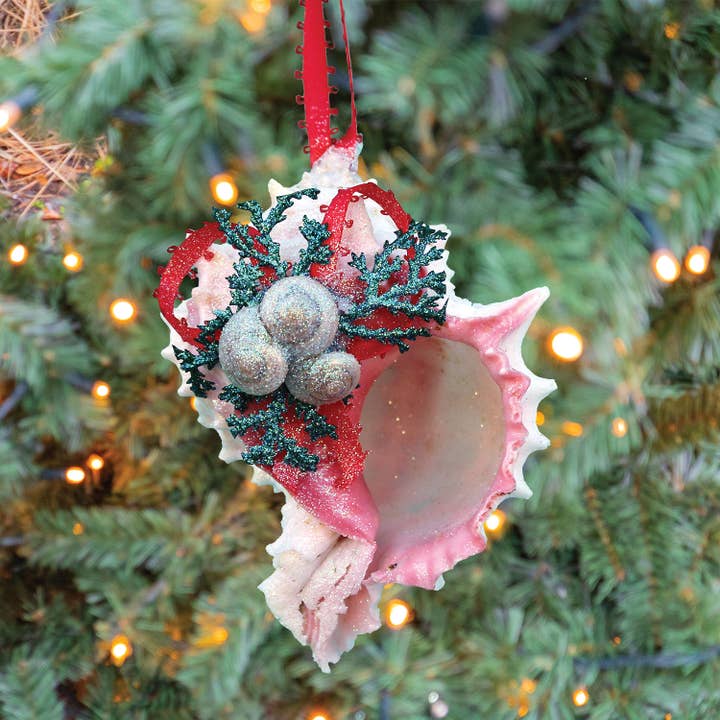 Pink Murex Seashell Evergreen Collage Ornament for wholesale by California Seashell Company