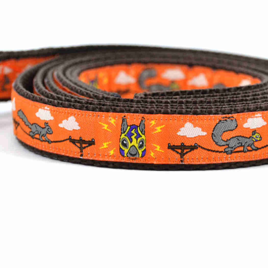 six point pet - Vente Collier – chien - Écureuils Lucha - Orange pétillante4