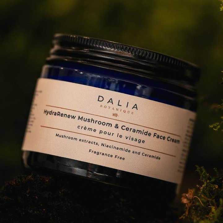 HydraRenew Mushroom and Ceramide Face Cream for wholesale by Dalia Botanique